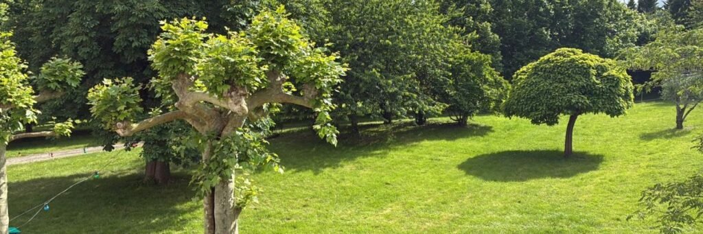 atelier la parole aux mamans etre et conscience : Un espace de parole chaleureux et bienveillant, ouvert à toutes les mamans quel que soit leur âge — à Castelnau-Picampeau
